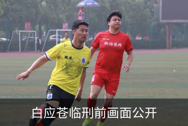 白应苍临刑前画面公开